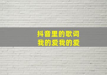 抖音里的歌词 我的爱我的爱